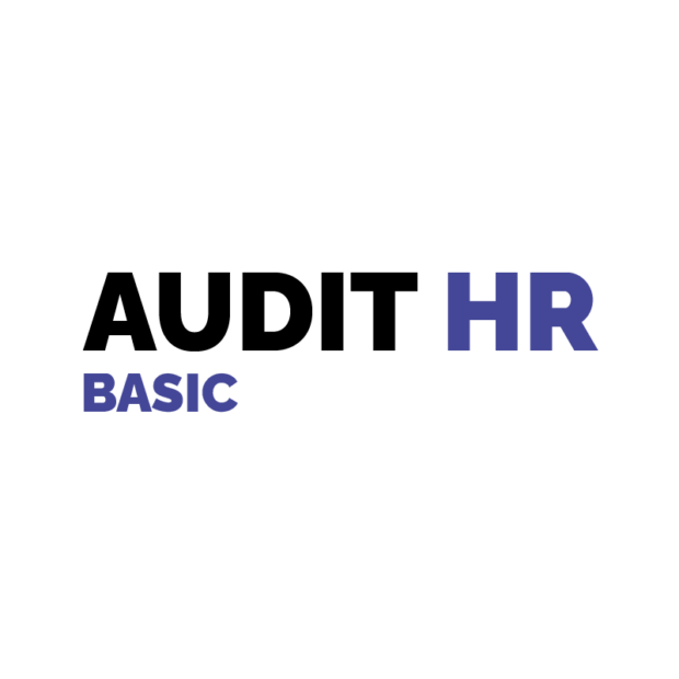 Audit HR Basic
